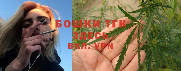 ECSTASY Михайлов
