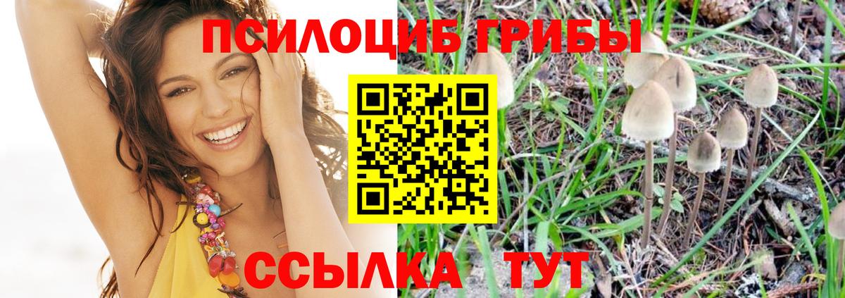 Псилоцибиновые грибы GOLDEN TEACHER  Вход с VPN  Краснокамск 